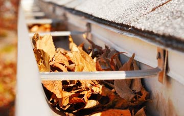 Thearne gutter cleaning companies