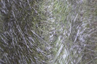 Thearne fibreglass roof work